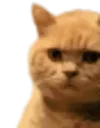 cat_hmm