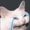 crying_cat