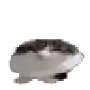 catbounce