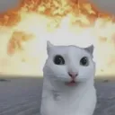 C_