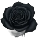 withered_rose