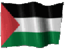6424wavingpalestine