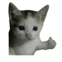 ThumbsUpcat1 Discord Emoji | Jewish Community