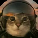 airforce_cat