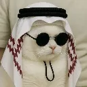 arab_cat