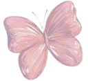 17_butterfly