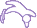 SkyBackflip
