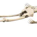 dead_2 dead_2