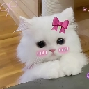 emoji_meizsareef custom emote - Arvelynx ™ | Social SFW