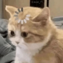 emoji_111 custom emote | Arvelynx ™ | Social SFW