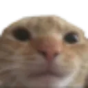 00