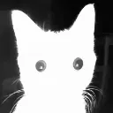 stare