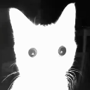 stare Discord Emoji - AvalonMC