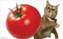 hopecita_tomato