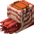 :nautilus: