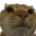 huh custom emote - Sammy's Indie-Electro Lounge