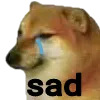saddoge
