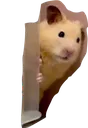 hide