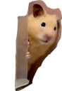 hide custom emote - Sammy's Indie-Electro Lounge