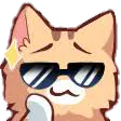 catexpert