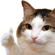 thumbsup custom emote | Sammy's Indie-Electro Lounge