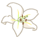 White lily flower with yellow stamen and green stem drawn in a simple, soft style.
