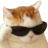 coolcat Discord Emoji - Sammy's Indie-Electro Lounge