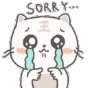 Cat_Sorry