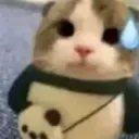 RainyMM_Catawk