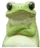 RainyMM_frog_hmm