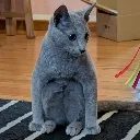 this_idiot this_idiot