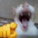 laughingatyou custom emote | Hamara Server