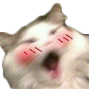 blush custom emote | Hamara Server