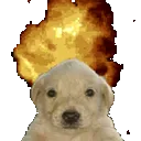 EXPLODE EXPLODE
