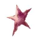 imageremovebgpreview44