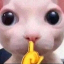 emoji_7 Discord Emoji - بنقوس