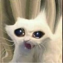 :crying: