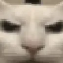 emoji_116