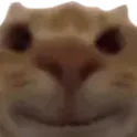 BeegHappi BeegHappi