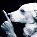 Shhhh Discord Emoji | The EndermanXD45 Commonwelth