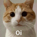 Oi animated emote - Philadelphia City Roleplay