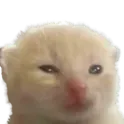unglorp unglorp