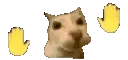 catdancing