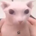 si