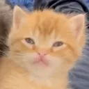 emoji_8