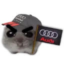 audi_F1