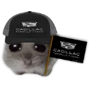 CADILLAC_F1