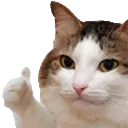 thumbsup
