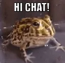 FrogFrogsGIF