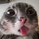 GREATGOOGLYMOOGLY GREATGOOGLYMOOGLY